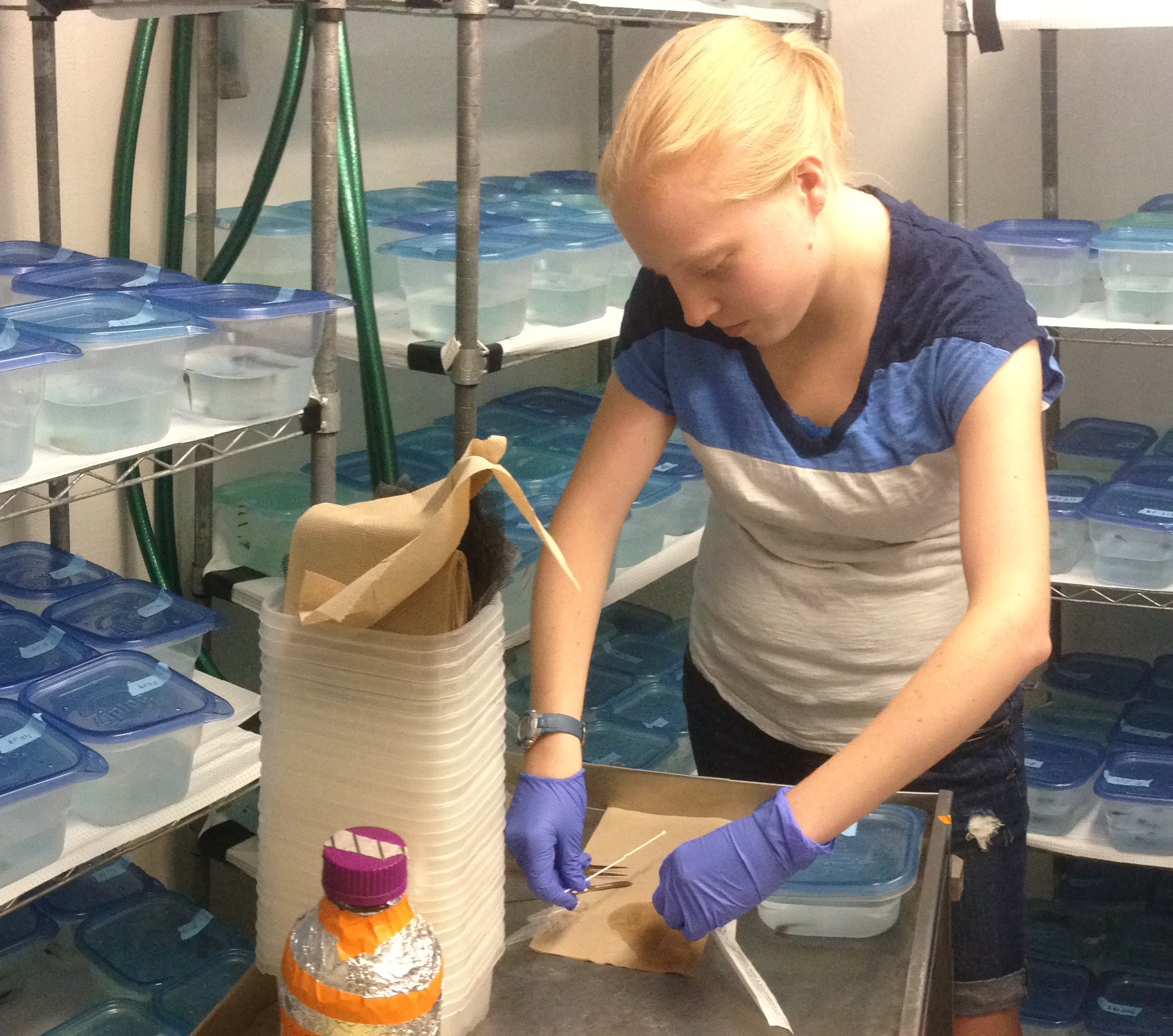 Anjulie collecting samples during an experiment.