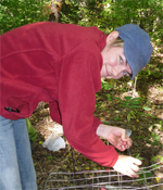 Brooke setting up cages