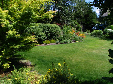 Waterwise landscape