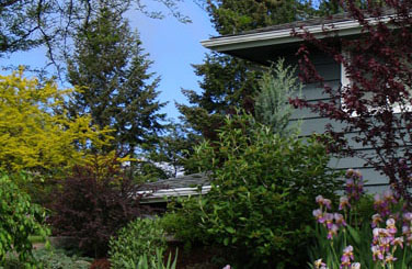 Waterwise shrubs (&copy; V.I. Lohr)