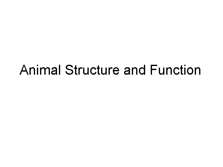 Animal Structure and Function